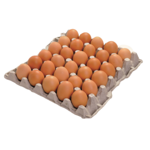 OEUF 1 X