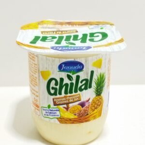 YAOURT ANANAS PASSION GRAINES DE LIN GHILAL 110G