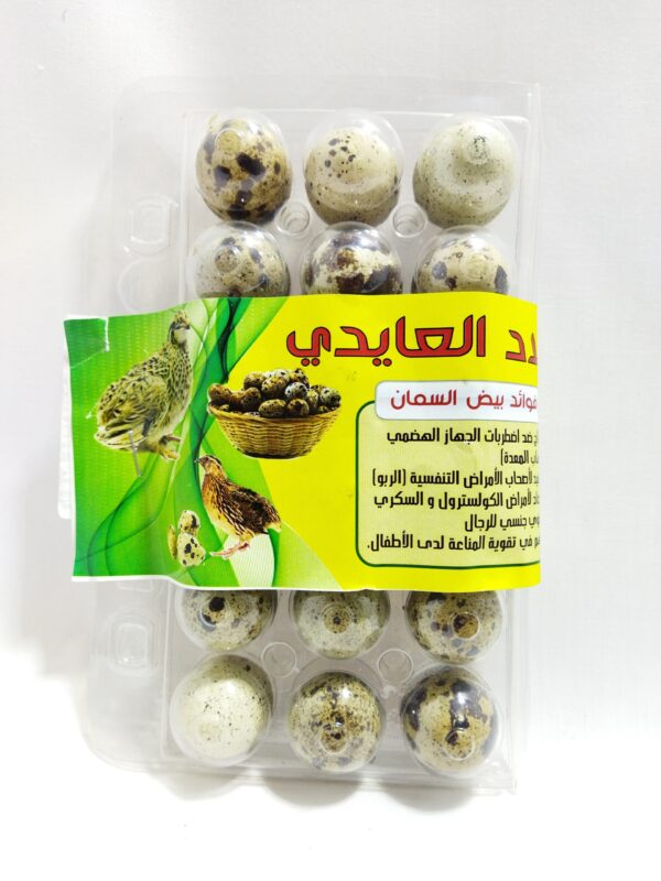 OEUF SEMAN 18PCS