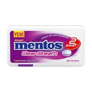 MENTOS CLEAN BREATH YENI 21G