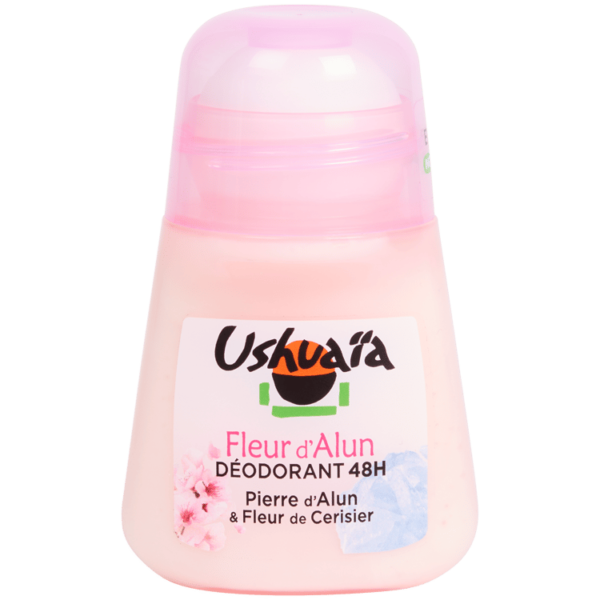 STICK FLEUR DALUN USHUAIA 50ML