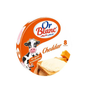 FROMAGE OR BLANC AU FROMAGE CHEDDAR 8 PORTIONS