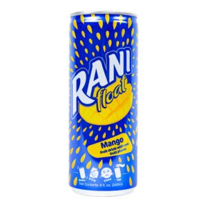 BOISSONS RANI MANGO 240ML