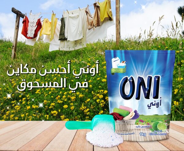 POUDRE LESSIVE A MAIN CITRON 1KG ONI