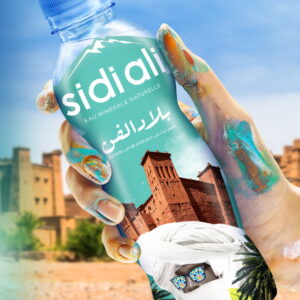 EAU MINERALE NATURELLE SIDI ALI 33CL