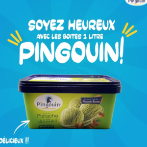 PINGOUIN GLACE BOITE VANILLE PISTACHE  1L