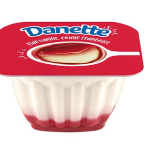 DANETTE PANNA COTTA FRAMBOISE VANILLE 80G