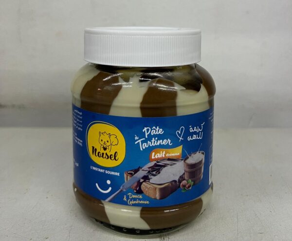 PATE CHOCOLAT NOISEL 350G