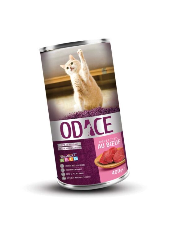 PATE CHAT BOEUF ODACE 400G