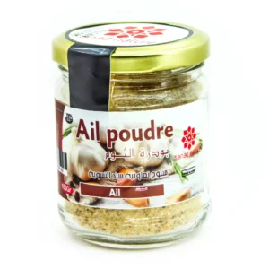 AIL POUDRE VERRE 100G SANAD